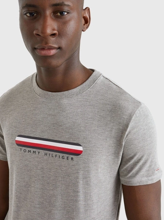 Tommy Hilfiger Herren T-Shirt grau UM0UM02348
