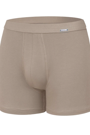 Cornette Mini Authentic Men's Boxer Shorts Beige